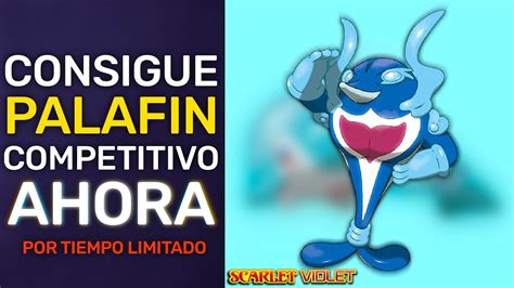 palafin competitivo.